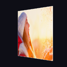 Flip3D